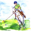 Athlete on horseback playing polo in the sunny summer day