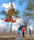 The athlete after landing on a paraglider landed on a pine tree