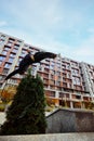 Athlete man, young guy jumping high, flips of wall in public park among high-rise buildings over sky view in action. Eye Royalty Free Stock Photo