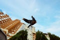 Athlete man, young guy jumping high, making back-flip over city, high-rise buildings and sky view in public park. Eye Royalty Free Stock Photo