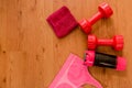 Athlete`s set with female clothing, red small towell, two pink dumbbells, bottle of water and a pink sport bra on wooden Royalty Free Stock Photo