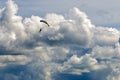 A skydiver athlete on the background of Cumulus clouds in the sky Royalty Free Stock Photo