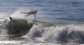 Athlete surfing on Santa Cruz beach in California