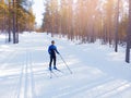 Athlete trains cross country skiing in winter on snow covered track in forest stadium. Aerial top view Royalty Free Stock Photo