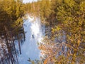 Athlete trains cross country skiing in winter on snow covered track in forest stadium. Aerial top view Royalty Free Stock Photo