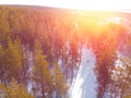 Athlete trains cross country skiing in winter on snow covered track in forest stadium. Aerial top view sun light Royalty Free Stock Photo