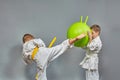 Athlete with a yellow belt beats a circular kick Royalty Free Stock Photo