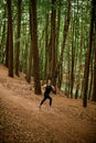 Athlete young woman in black sportswear jogging downhill on forest trail, tall leafy trees on background