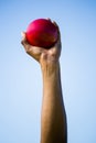 Athletes hand holding shot put ball