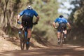 Athletes mountain biking on forest trail