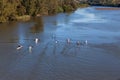 River Canoeing Paddlers Training