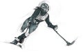 Athletes with physical disabilities - ALPINE SKIING