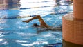 Athletes, swimmers training along tracks in sports pool for swimming, healthy lifestyle concept. Swimmers in blue, clear