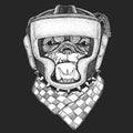 Athletic animal Bulldog, dog. Boxing champion. Print for t-shirt, emblem, logo. Martial arts. Vector illustration with