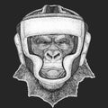 Athletic animal Gorilla, monkey, ape Boxing champion. Print for t-shirt, emblem, logo. Martial arts. Vector illustration