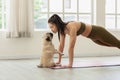 Athletic Asian woman practice yoga Plank pose to meditation and kissing dog pug breed at home Royalty Free Stock Photo