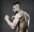 Athletic fighter posing on gray Royalty Free Stock Photo