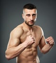 Athletic fighter posing on gray Royalty Free Stock Photo
