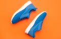 athletic footgear for running. pair of comfortable sport shoes. sporty blue sneakers. Royalty Free Stock Photo