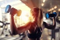 Athletic girl trains biceps at the gym Royalty Free Stock Photo