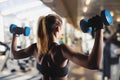 Athletic girl trains biceps at the gym Royalty Free Stock Photo