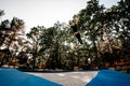 Athletic man jumps on trampoline against the backdrop of green trees and sky.