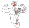 Athletic man torso vector linear illustration, male beauty with perfect muscular fit body posing, artistic drawing of fitness Royalty Free Stock Photo