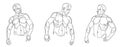 Athletic man torso vector linear illustrations set, male beauty with perfect muscular fit body posing, artistic drawings of Royalty Free Stock Photo