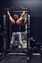 Athletic muscular man doing pull-ups in a gym Royalty Free Stock Photo