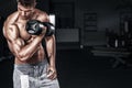 Athletic shirtless young sports man - fitness model holds the dumbbell in gym. Copy space fore your text. Royalty Free Stock Photo