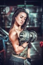 Athletic woman pumping up muscules with dumbbells Royalty Free Stock Photo