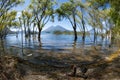 Atitlan and Toliman Volcanoes as seen from Santa Catarina Palopo in Lake Atitlan, Solola, Guatemala