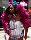 Atlanta Carnival Magenta feathers