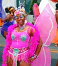Atlanta Carnival Pink Butterfly Girl