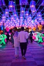 Atlanta Chinese Lantern Festival at Centennial Olympic Park