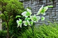 Glass Floral Sculpture in Atlanta Botanical Garden, Georgia