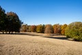 Atlanta Piedmont Park scene fall colorful foliage Royalty Free Stock Photo