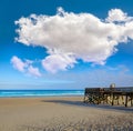 Atlantic Beach in Jacksonville of florida USA Royalty Free Stock Photo