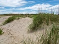 Atlantic Beach Sand Dunes and Sea Grass