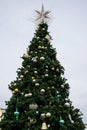 Atlantic Christmas Tree Royalty Free Stock Photo