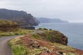 The Atlantic coast with cliffs at Madeira