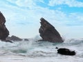 Atlantic coast view in cloudy weather, Portugal