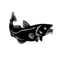 Atlantic Cod or Codling Fish Swimming Up Woodcut Black and White Royalty Free Stock Photo