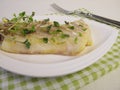 Atlantic cod fillet and shoot vegetables Royalty Free Stock Photo