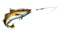 Alaska Pollock, Mintai fish attack fish bait jigs and stakes spoon bait jumping out of water illustration isolate realistic.