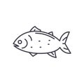 Atlantic fish icon, linear isolated illustration, thin line vector, web design sign, outline concept symbol with