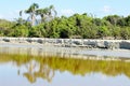 Forest on seashore, beach with eroded sand and river with calm waters