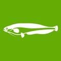 Atlantic mackerel, Scomber scombrus icon green