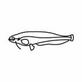 Atlantic mackerel, Scomber scombrus icon