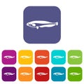 Atlantic mackerel, Scomber scombrus icons set